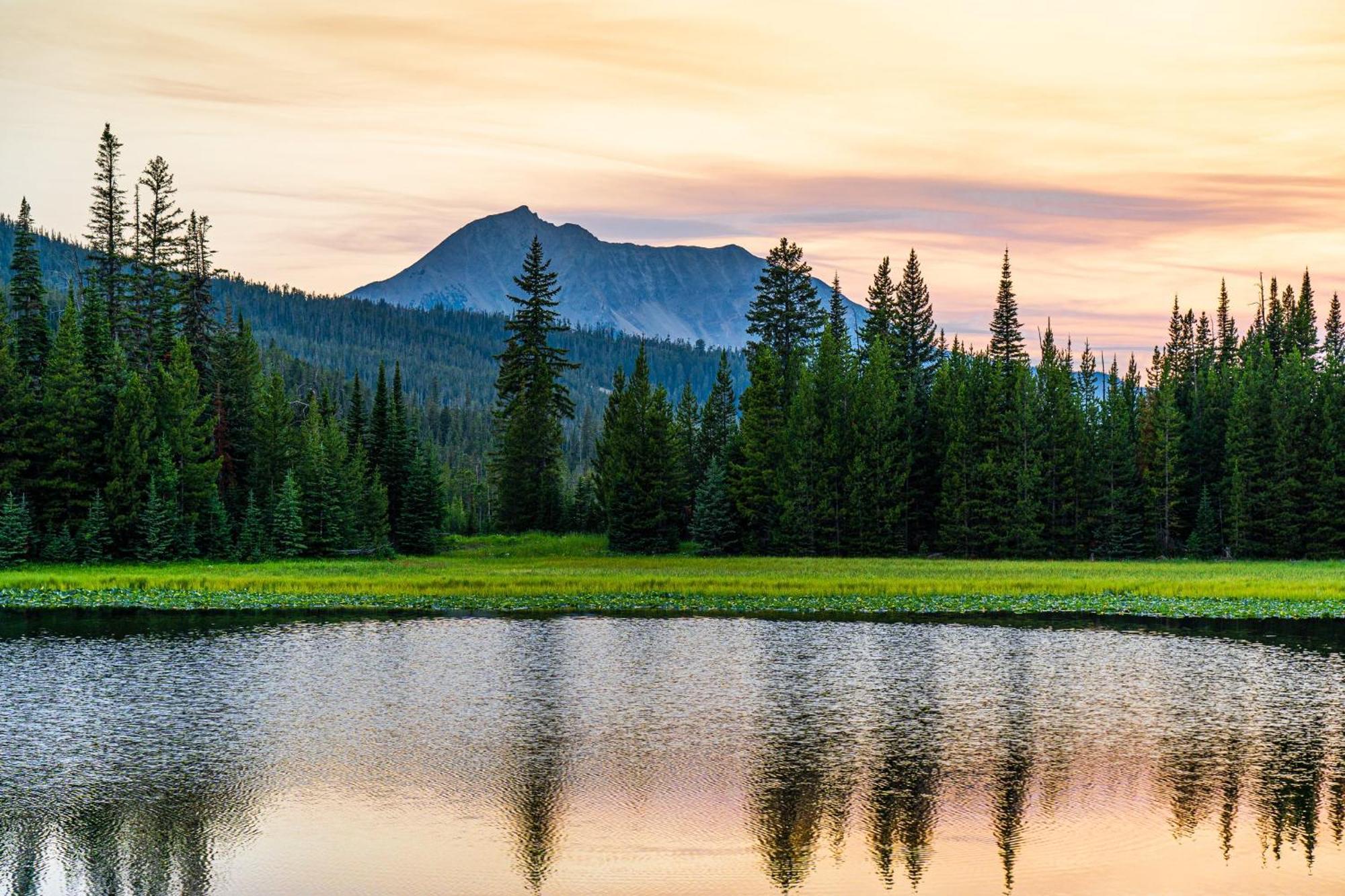 My Yellowstone Retreat Island Park Rom bilde